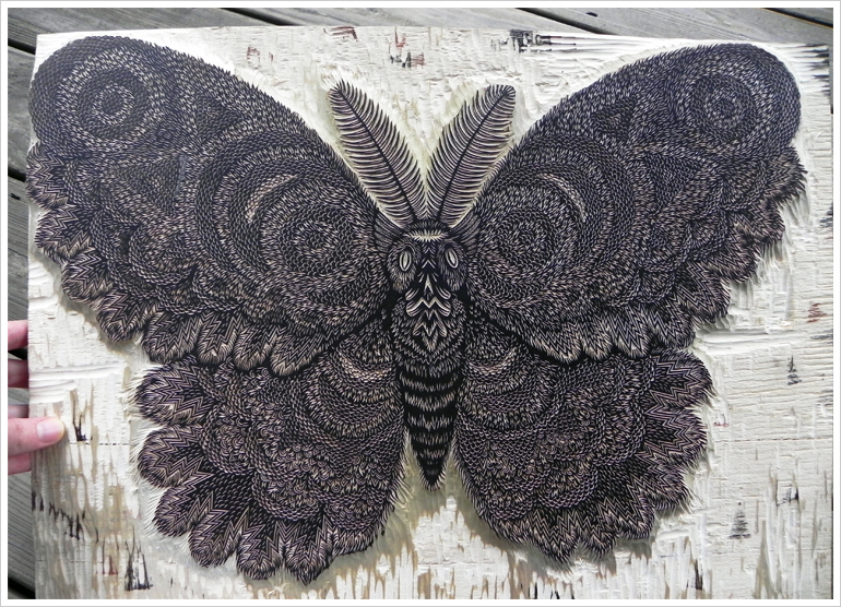 "MOTH" Woodcut Print by Tugboat Printshop