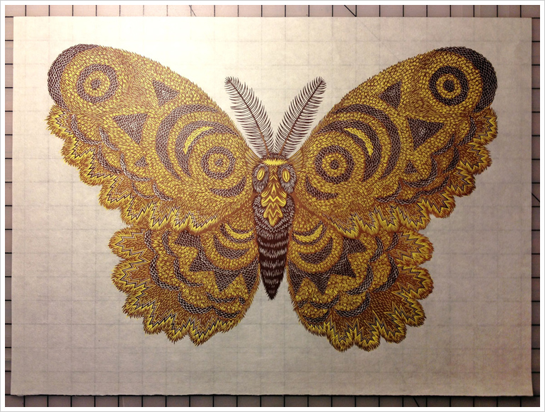 MOTH Woodcut Print by Tugboat Printshop