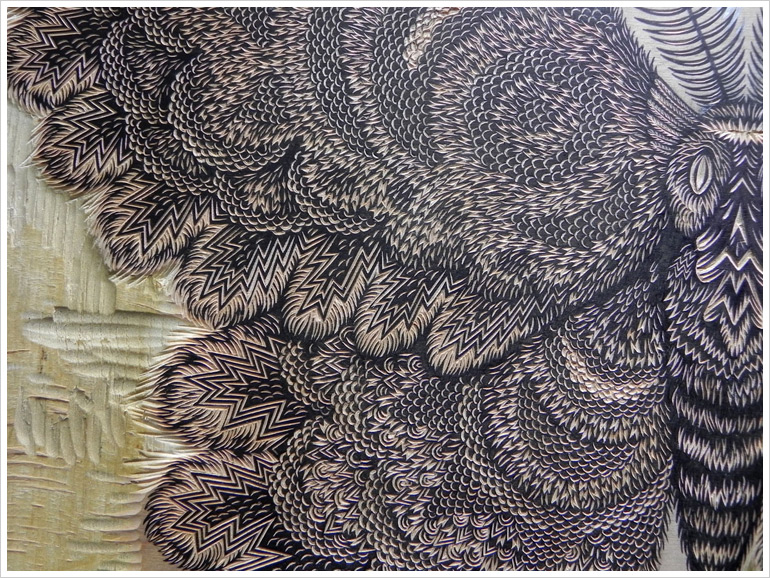 Wood Carving in Low Relief the "MOTH" Woodcut Print by Tugboat Printshop